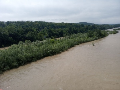 Підйом рівня води на річках: яка ситуація у Чернівцях на Пруті