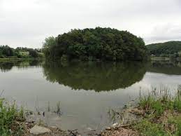 Популярні приміські озера біля Чернівців занепали: що з ними буде далі - МБ