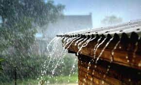 Шквальний вітер, дощ та гроза: погода на Буковині сьогодні погіршиться