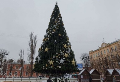 Головній ялинці Чернівців - бути: як вона виглядатиме, де та коли її встановлять