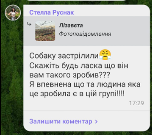 "Вона лише вчора народила цуценят": на Буковині масово відстрілюють собак  - відео